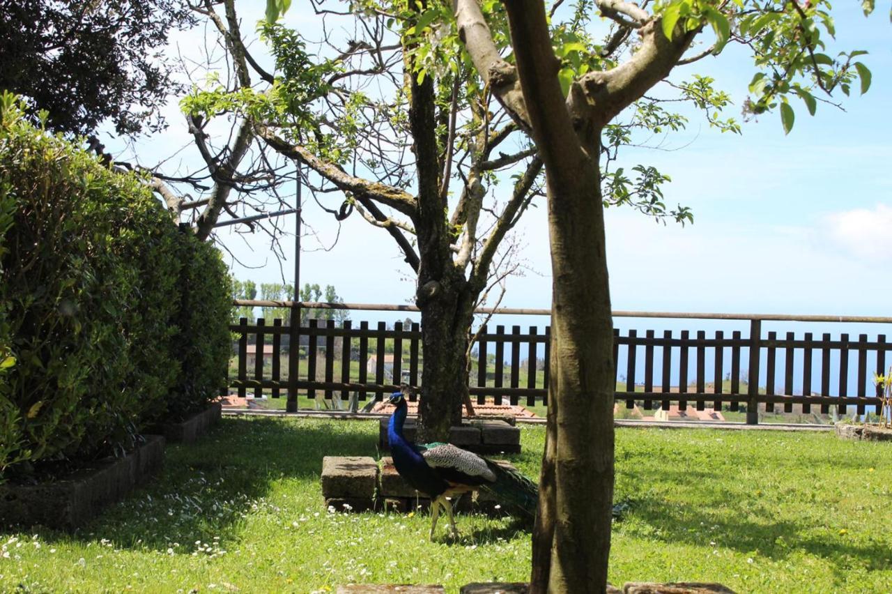 Agriturismo La Baita Agerola Exterior foto